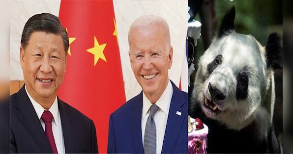 China creates panda-monium when displeased