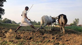 World cup article testing 3