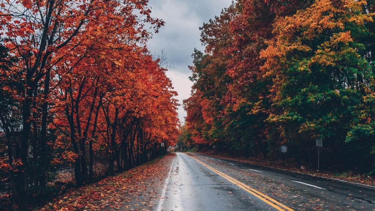 Online Editor Enhances Writing with Word Count, Grammar Check, and Plagiarism Detection Online Editor Enhances Writing with Word Count, Grammar Check, and Plagiarism Detection