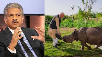 Anand Mahindra and PM Modi at Vantara. Image Courtesy: PTI/@narendramodi/X