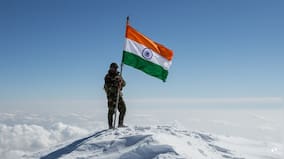 Mweb Video PIP verification 1