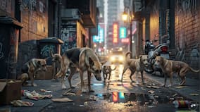 In a show of support for the tibetan cause an all party